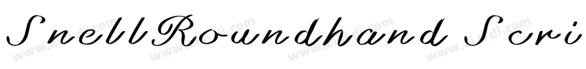 SnellRoundhand Scri字体转换